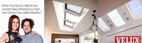 Velux Skylight Windows